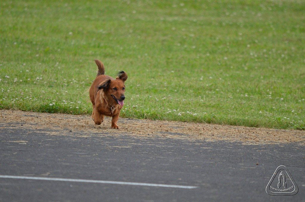 2013 Suche 29062013 Michal